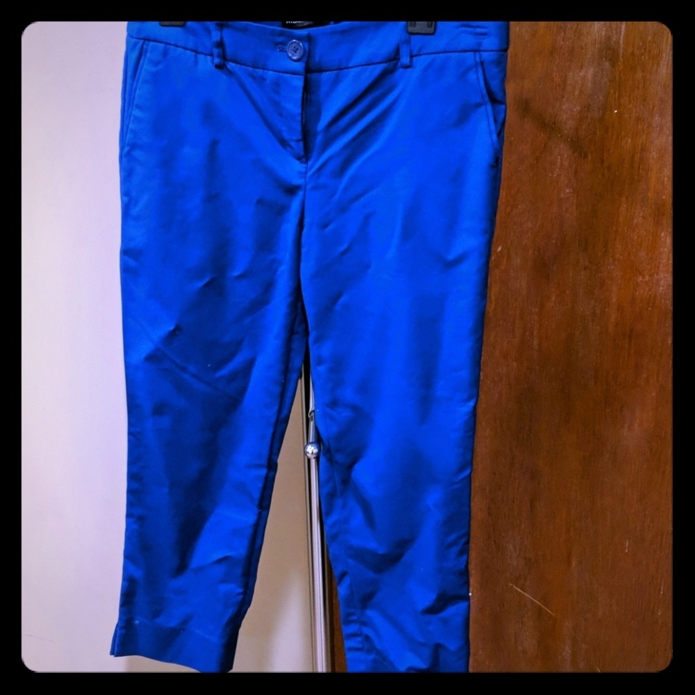 Blue Trousers petite